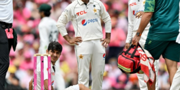 cricket