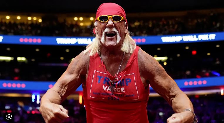 hulk hogan ۲