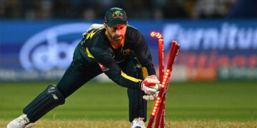 matthew wade