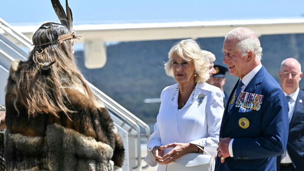 king charles camilla 6722981