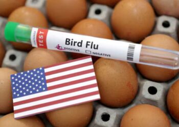 Public health officials have been tracking a multistate outbreak of H5N1 bird flu since March.