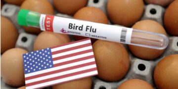 Public health officials have been tracking a multistate outbreak of H5N1 bird flu since March.