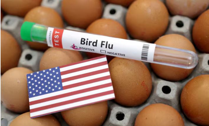 Public health officials have been tracking a multistate outbreak of H5N1 bird flu since March.