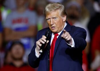 US President Donald Trump wants to repeal the right to 'birthright citizenship.