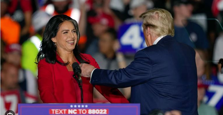 tulsi gabbard 1