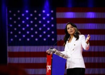 tulsi gabbard
