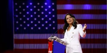 tulsi gabbard