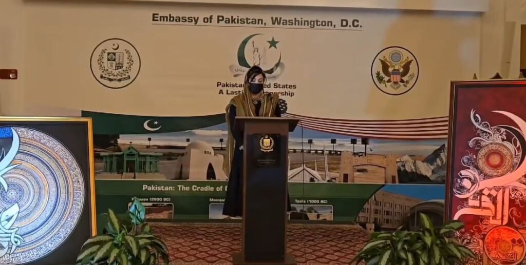 saeed shakh