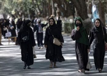 Nursing and midwifery programs were among the few educational opportunities left for Afghan women.