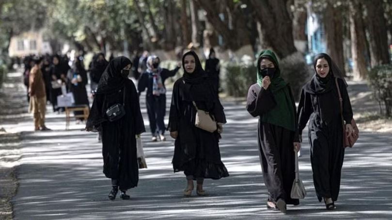 Nursing and midwifery programs were among the few educational opportunities left for Afghan women.