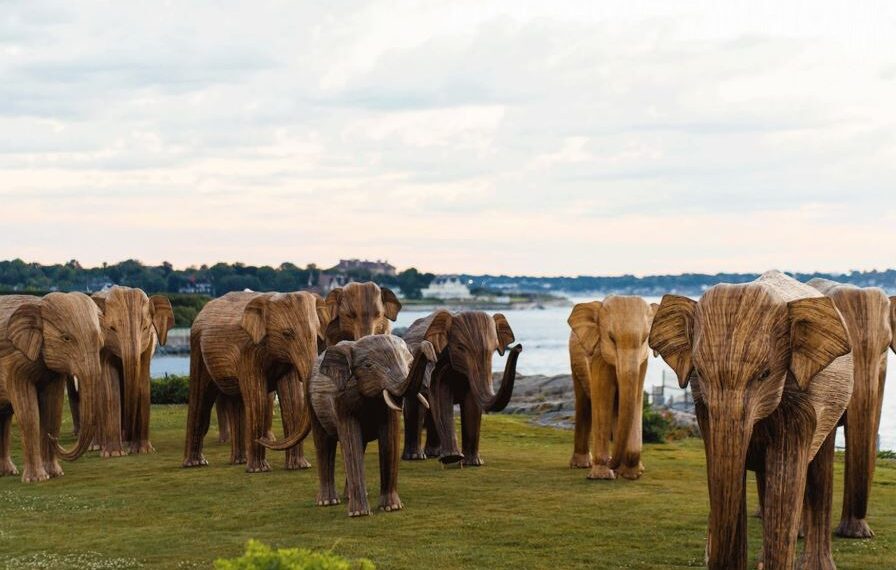 The Great Elephant Migration, featuring 100 life-sized elephant sculptures crafted by indigenous artisans from southern India.