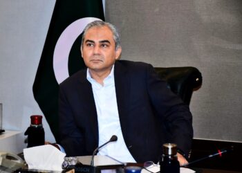 Federal Interior Minister Mohsin Naqvi