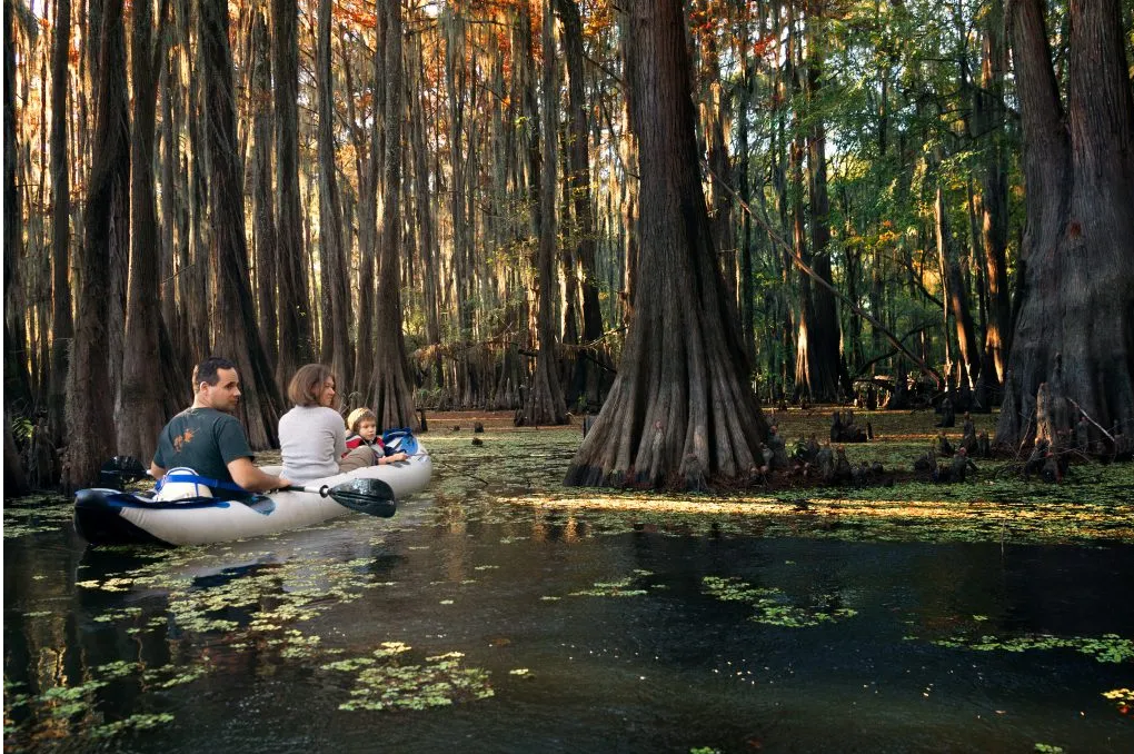 caddo lake