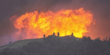 Wildfires Ravage Los Angeles: Death Toll Rises to 24