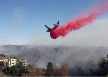 The bright pink powder has become a common feature in Los Angeles.