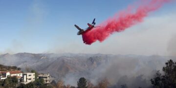 The bright pink powder has become a common feature in Los Angeles.