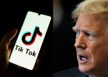 US President-elect Donald Trump has said he is thinking about giving TikTok a 90-day extension.