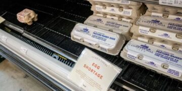 Over 100,000 Eggs Stolen Amid Rising Egg Prices in the US