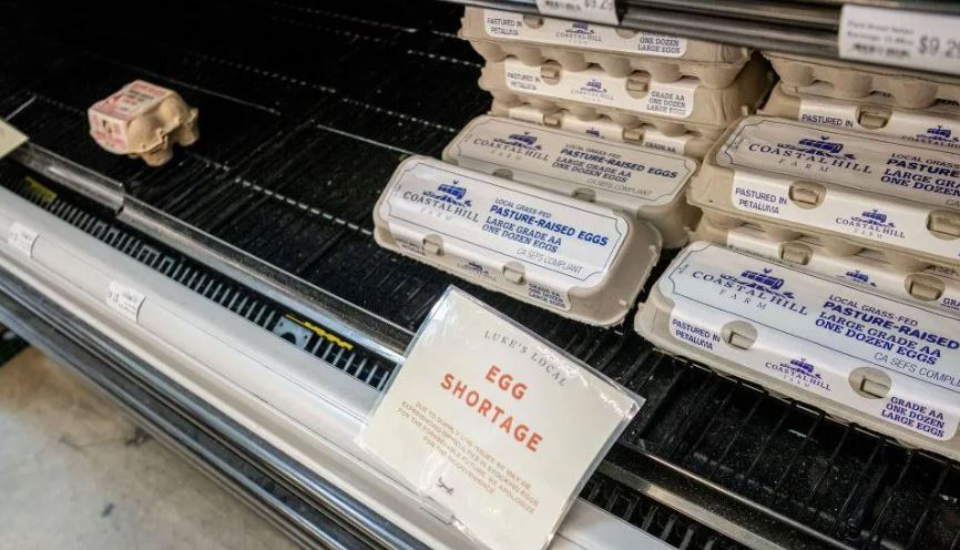 Over 100,000 Eggs Stolen Amid Rising Egg Prices in the US