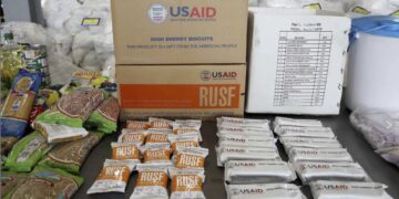 Elon Musk says President Donald Trump has ‘agreed’ USAID should be shut down.