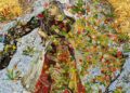 Shahzia Sikander: Collective Behavior – A Landmark Exhibition in Ohio