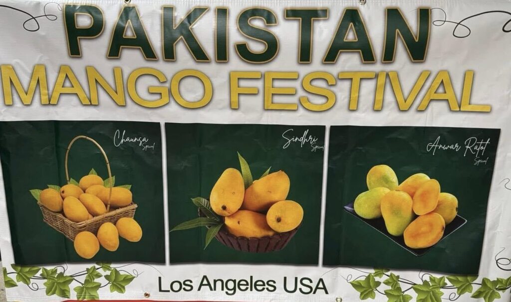 mango