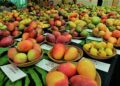 Los Angeles to Host the 3rd Annual Mango Festival on June 29