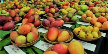 Los Angeles to Host the 3rd Annual Mango Festival on June 29