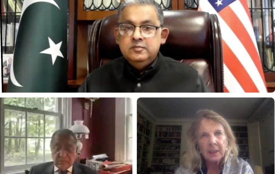 Embassy of Pakistan in Washington D.C. Hosts Webinar on Threats to Kashmiri Identity