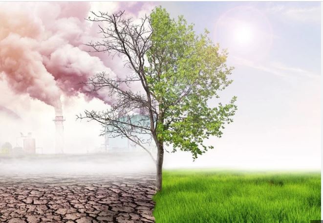 climate change