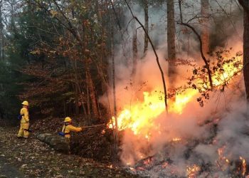 Burn Bans Issued Across Greater Houston as Drought Intensifies, Wildfire Risk Soars