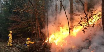 Burn Bans Issued Across Greater Houston as Drought Intensifies, Wildfire Risk Soars