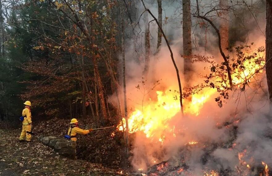 Burn Bans Issued Across Greater Houston as Drought Intensifies, Wildfire Risk Soars