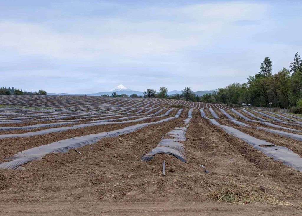 andowners, farmers, and local economies