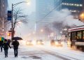 winter