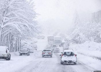 Extreme Cold Grips Houston as Another Hard Freeze Looms