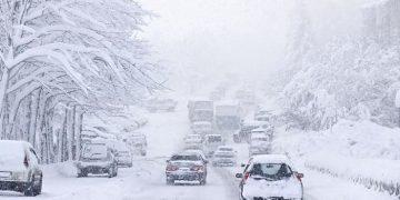 Extreme Cold Grips Houston as Another Hard Freeze Looms