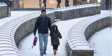 Houston-Area Schools Set to Reopen After Winter Storm