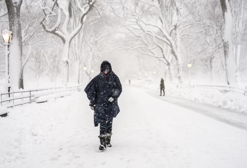 winter