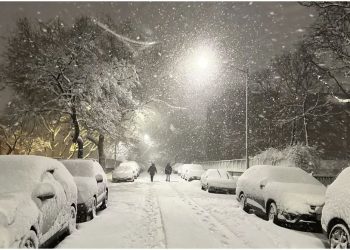 Historic Blizzard Forces New York City Into Shutdown