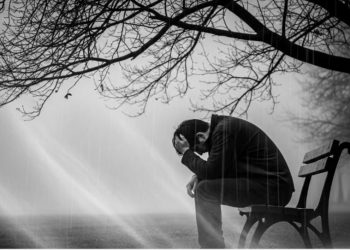 Emotional Impact of Disasters and the Path to Recovery