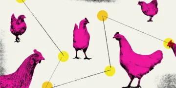 0325 bird flu houstonia shutterstock w3dmpi