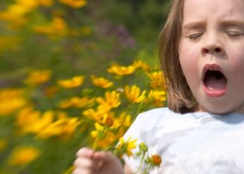 allergy