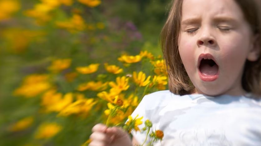 allergy